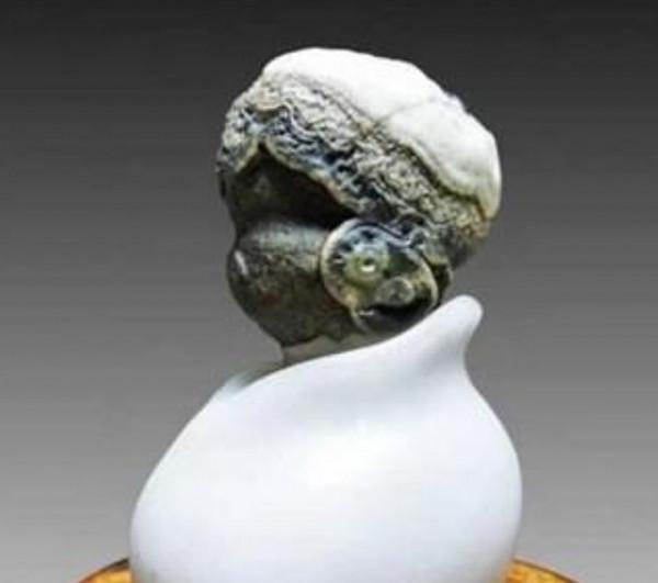 中國價值最高的十三件奇石,件件都鬼斧神工、價值不菲 中國價值最高的十三件奇石,件件都鬼斧神工、價值不菲