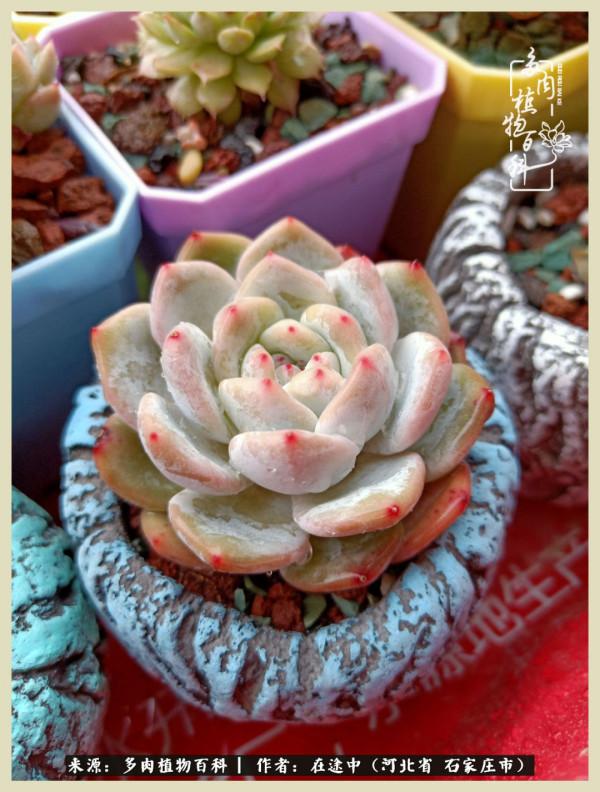 落葉知秋,願你安好 落葉知秋,願你安好