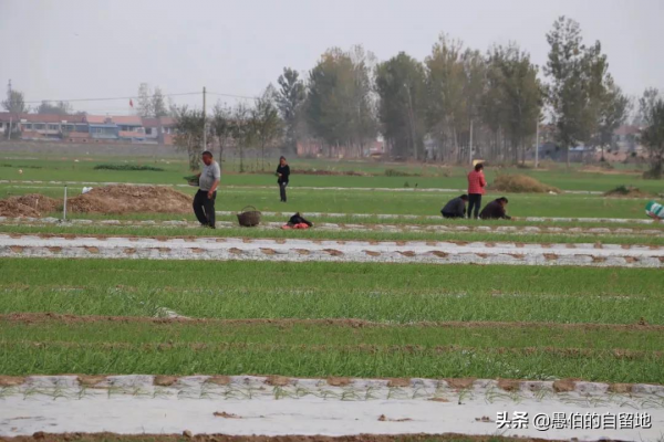 深秋時的蘇北鄉村集市:看了超親切,我一張也不捨得刪除 深秋時的蘇北鄉村集市:看了超親切,我一張也不捨得刪除