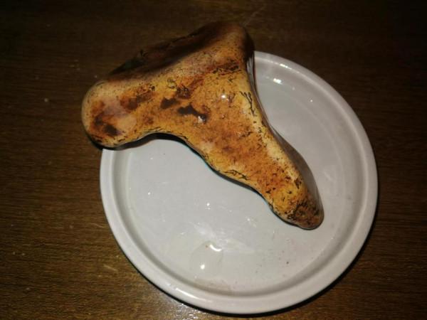 灤河藝術石鑑賞（17）