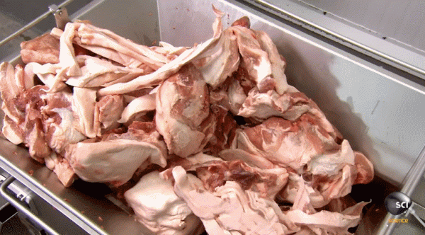 兩塊錢的烤腸用的什麼肉，能放心吃嗎