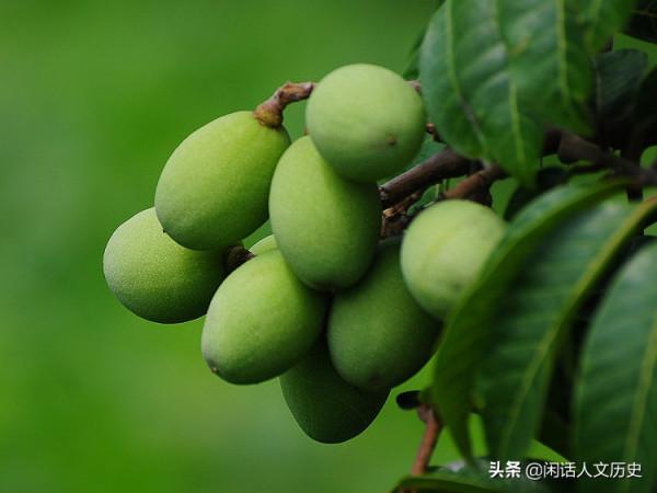 金兵入侵大宋,燕青、關勝等梁山好漢有什麼作為,最後結局如何? 金兵入侵大宋,燕青、關勝等梁山好漢有什麼作為,最後結局如何?