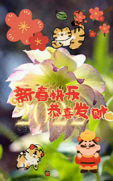 中醫知識每日一讀 :傷寒附翼：少陽方總論（三）