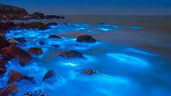 不輸馬代，美過濟州島的10個國內海島，高鐵直達，值得一去