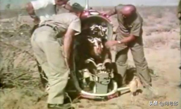 動物成為人類追求科技突破的“試金石”，美蘇冷戰將此試驗競賽化