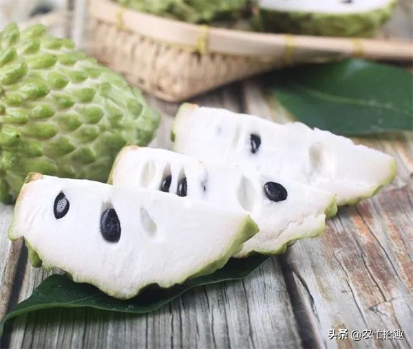 8年前一斤50元，很多果農投入，如今跌到12元，靠中秋走量