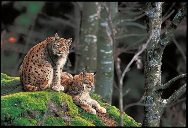 26張極致大片，尋找地球最美的角落