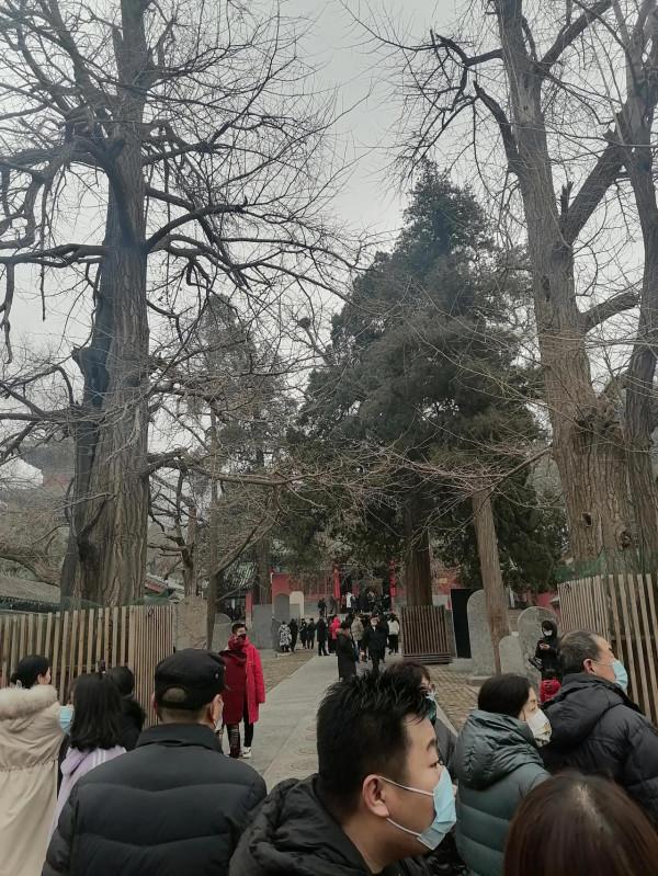 帶著母親看天下（少林寺景區）