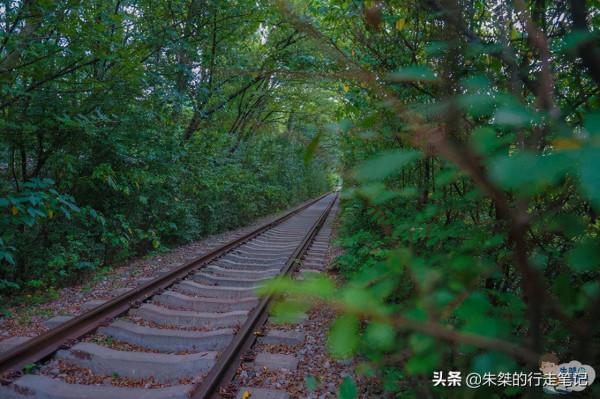 共賞皖美中秋月，2天時間去發現肥東不一樣的風景