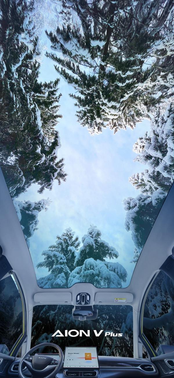 抬頭便是至美人間