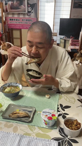 一個人和六隻貓守著一座寺院,吃飯被一群貓環繞會是怎樣的體驗? 一個人和六隻貓守著一座寺院,吃飯被一群貓環繞會是怎樣的體驗?