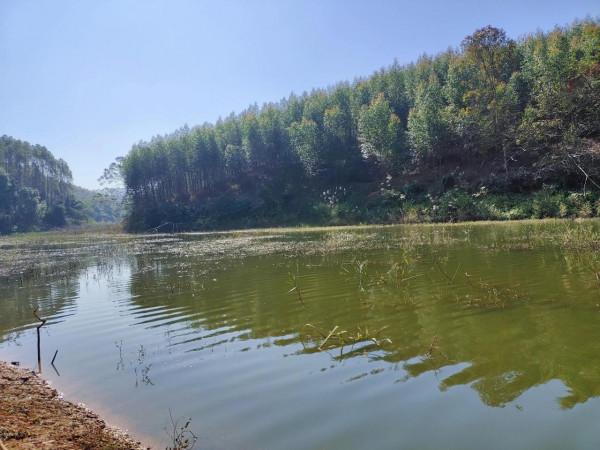 封竿6年有餘,重回釣壇沒做好準備用過期餌垂釣看看能不能有收穫 封竿6年有餘,重回釣壇沒做好準備用過期餌垂釣看看能不能有收穫