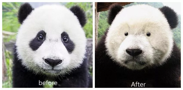 入住半年，我來總結第一套房的裝修經驗