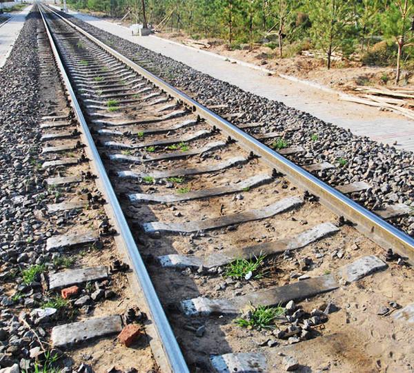 流浪少女被和尚收留，將武功全數傳授給她，不料竟被其偷光積蓄