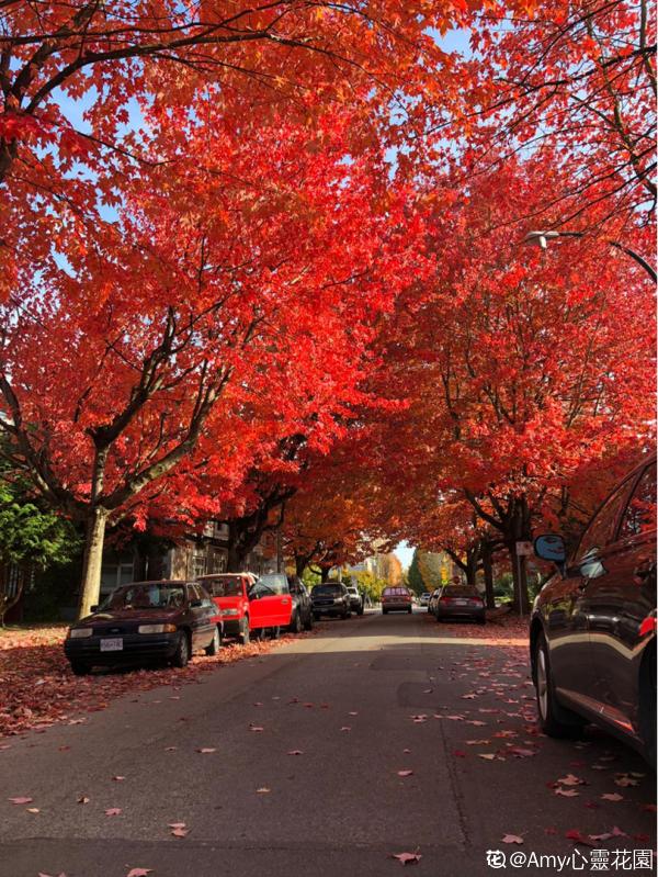 秋天又乏又燥，做好5件事，有效緩解“乏”和“燥”