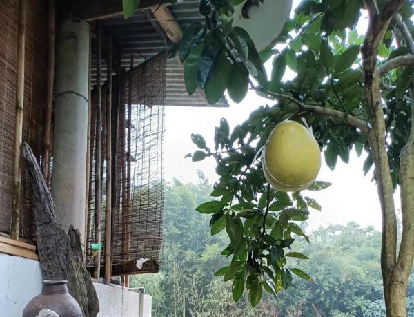 一等獎作文《答案在風中飄蕩》，文筆清奇，堪稱天才之作