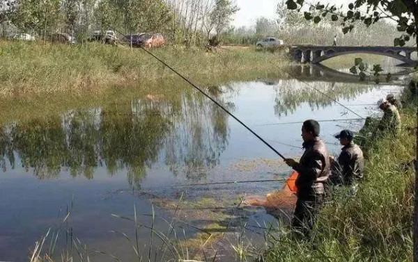 仲秋時分釣魚,從釣魚諺語中看釣點的選擇技巧 仲秋時分釣魚,從釣魚諺語中看釣點的選擇技巧