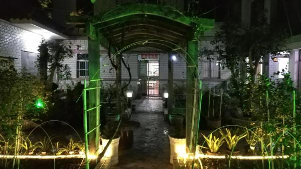 老家的庭院 老家的庭院