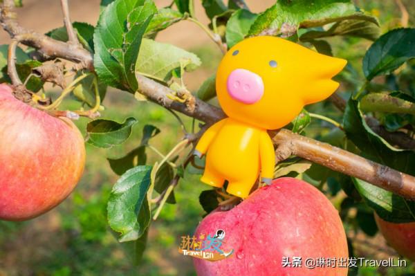 嚮往的鄉遊就在北京延慶