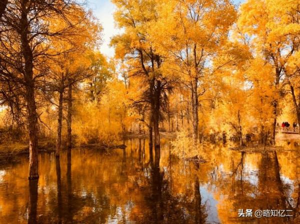 甘肅9-10月秋季旅遊必看西北大環線季節限定胡楊林