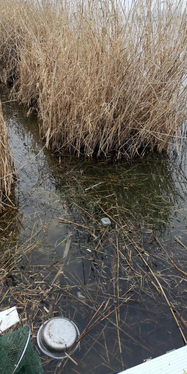 冬季釣魚，選點最重要，其次是拋竿技術，兼談調漂