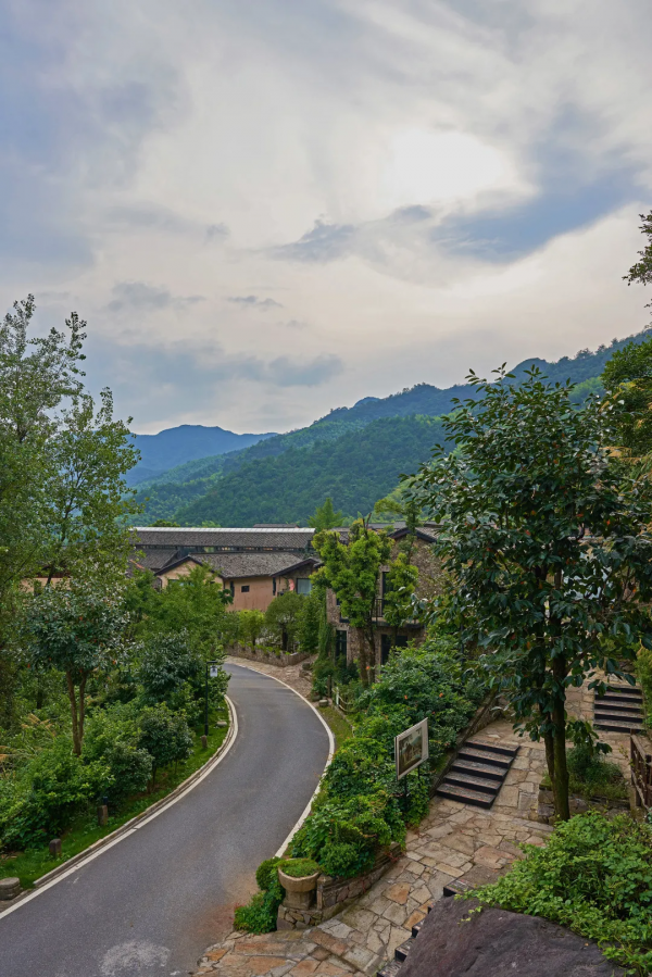 700年神秘古村落意外走紅！霧海竹林萬畝，24h鮮氧環繞，宛若仙境