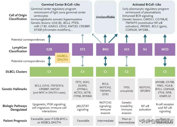 淋巴瘤一線標準治療20年無法撼動？ADC新藥來了