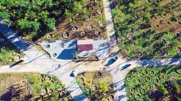 延慶再添“城市綠肺”~康西森林溼地公園“上線”