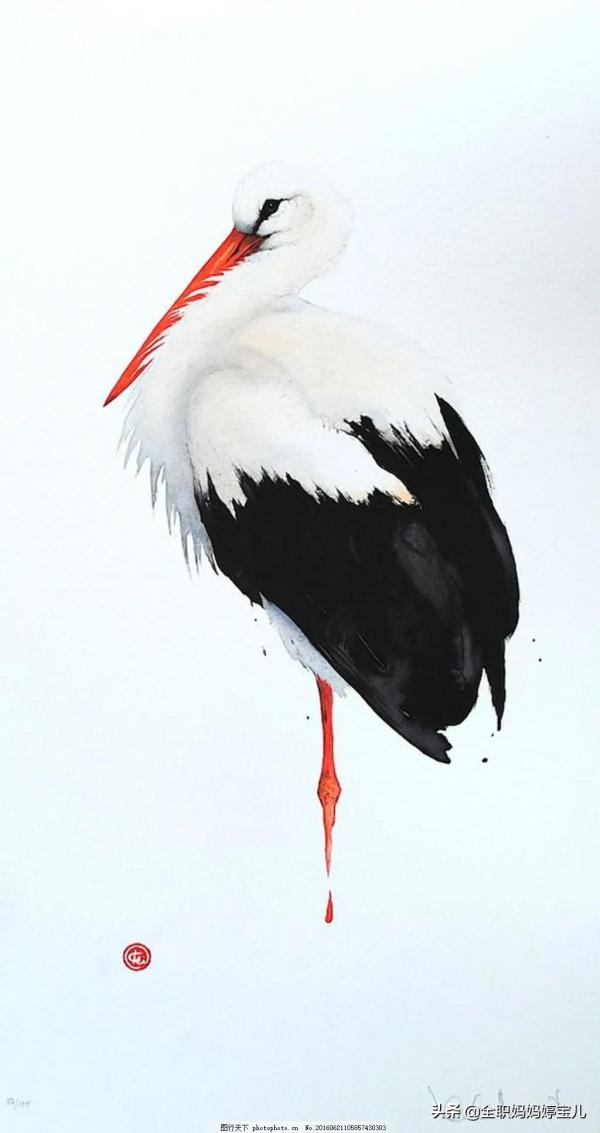 分享——栩栩如生的水彩鳥兒圖