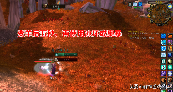 TBC懷舊服：法師變豬術獲取指南