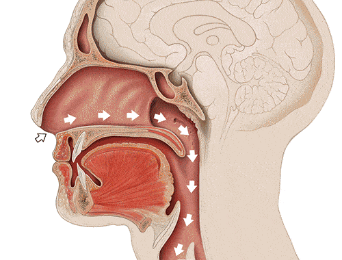 張口呼吸會長歪,用“閉嘴貼”?醫生:胡來! 張口呼吸會長歪,用“閉嘴貼”?醫生:胡來!