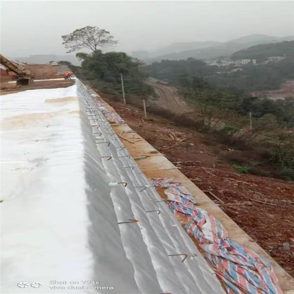 高韌聚酯有紡土工布