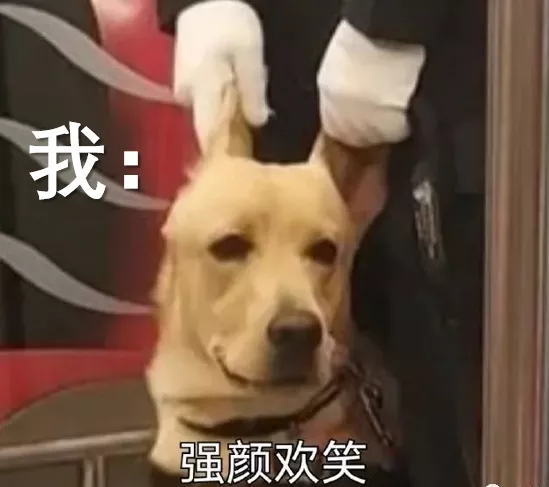 青壯年發燒文學：深夜在發熱門診排隊4小時後，我退燒了