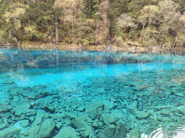 人間仙境九寨溝黃龍風景和防坑指南