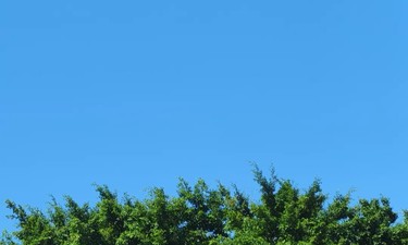 好訊息!廣西8地入選“中國民間文化藝術之鄉” 好訊息!廣西8地入選“中國民間文化藝術之鄉”