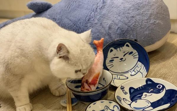 萬萬沒想到，我竟然被一套陶瓷餐具萌化了