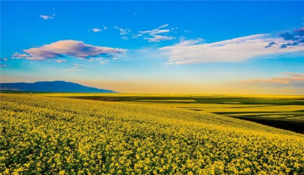 甘肅15個絕美旅行地,疫情過後,來一次吧,飽覽西北極致美景 甘肅15個絕美旅行地,疫情過後,來一次吧,飽覽西北極致美景
