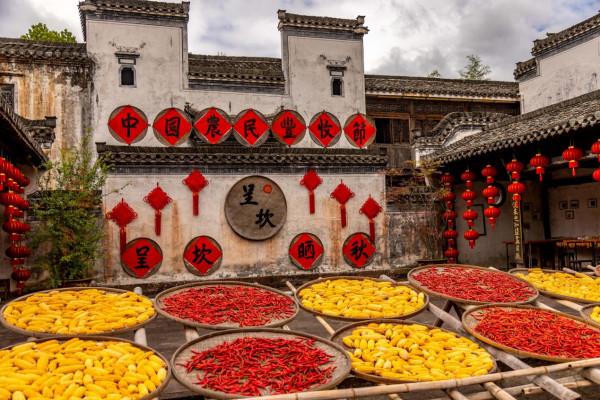 漫遊皖美秋色｜閱盡秋色，美在安徽