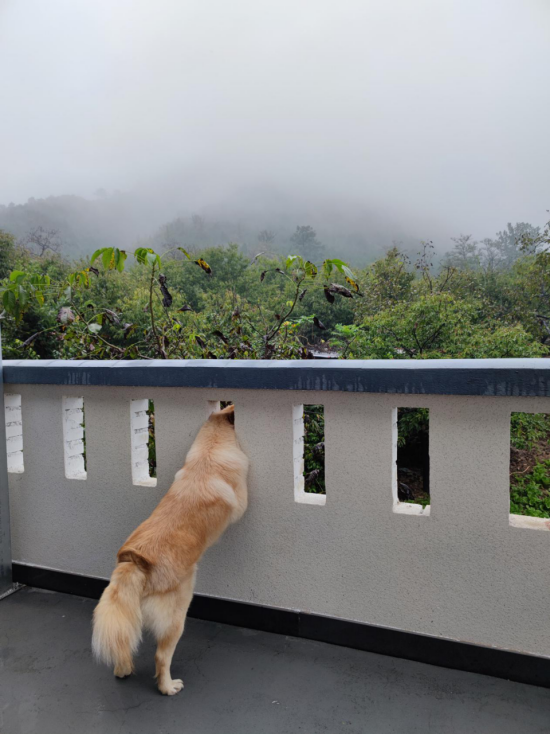 北京定海旁的觀山居民宿，溫柔了歲月，驚豔了時光