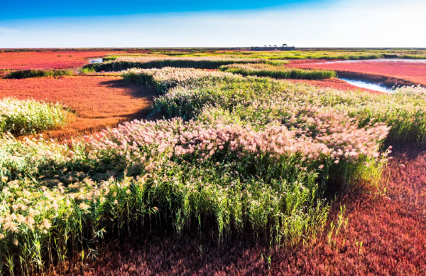 青松城·好享遊 | 這15條路線，值得你踏遍祖國萬千河山
