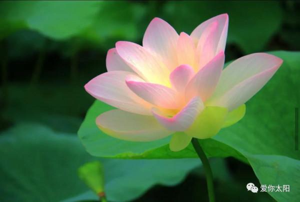 人格塑造之“自愛” 人格塑造之“自愛”