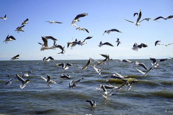 中國不為人知的二十個湖泊(三) 中國不為人知的二十個湖泊(三)