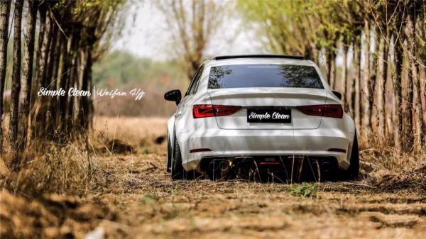 生存在奧迪S3光芒下的A3，改裝過後也有自己的世界！