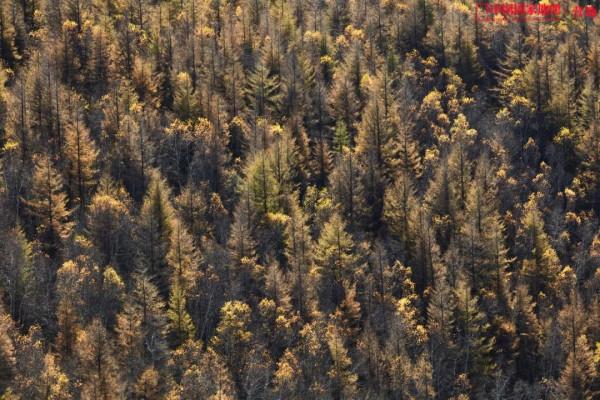 這一次,為什麼是承德? 這一次,為什麼是承德?