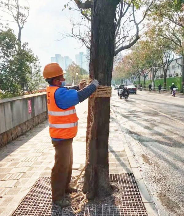 這點小心機少不了