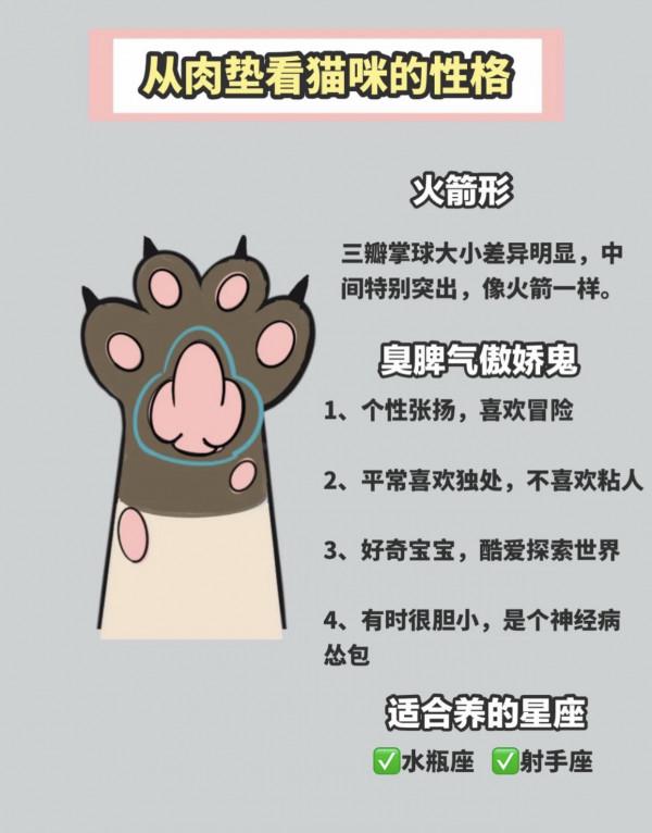 怎麼透過&OpenCurlyDoubleQuote;手相&rdquo;選貓？