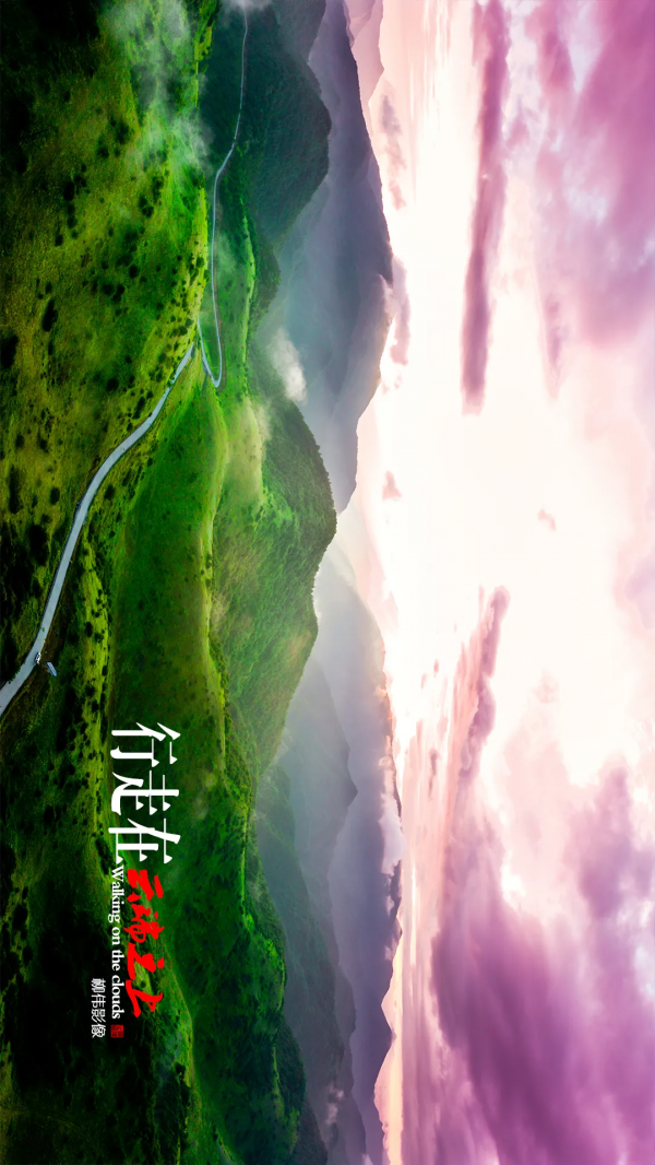 旋轉手機90° →哇！平利正陽雲端草甸這麼美嗎！