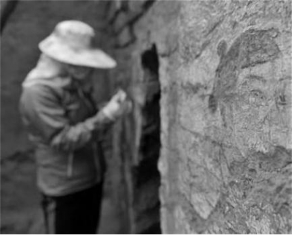 1983年，寧夏發現千年古墓，考古隊挖到一半後塌方，緊急撤離