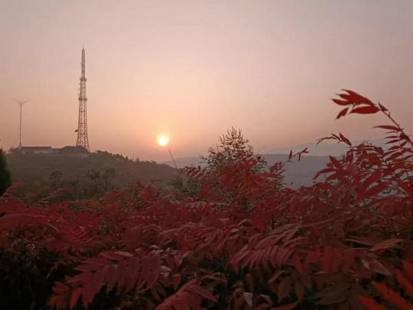 和父親一起上墳