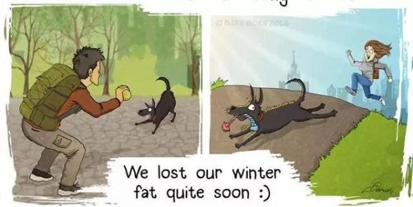 給流浪狗安家容易，改變它流浪的辛難，其實你只需要這麼做…漫畫